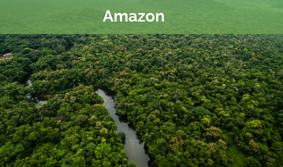 Amazon Thumbnail 